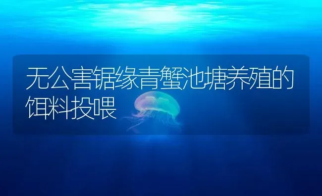 无公害锯缘青蟹池塘养殖的饵料投喂 | 海水养殖