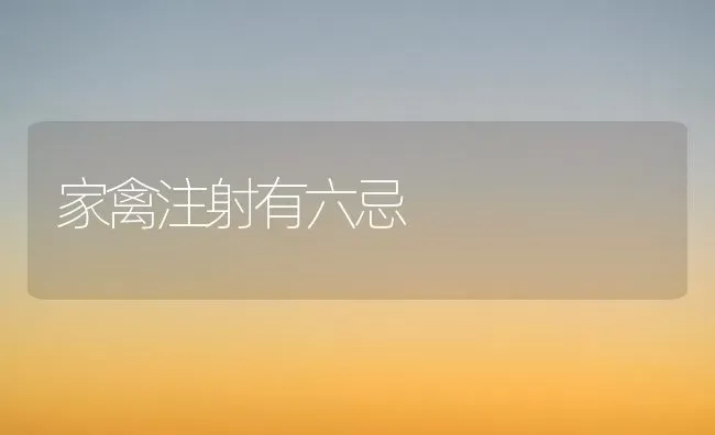 家禽注射有六忌 | 家禽养殖