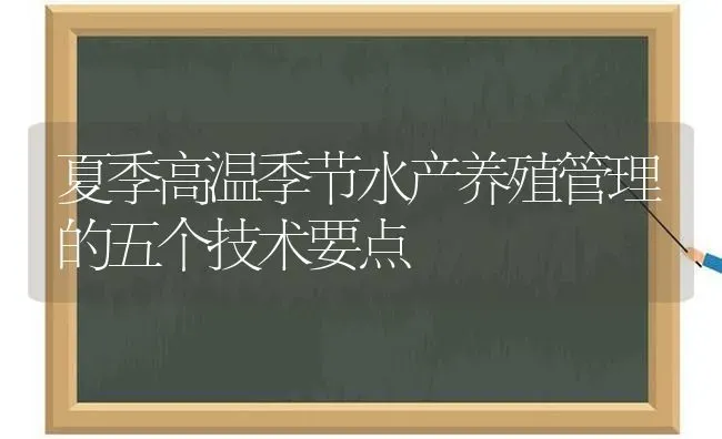 夏季高温季节水产养殖管理的五个技术要点 | 动物养殖百科