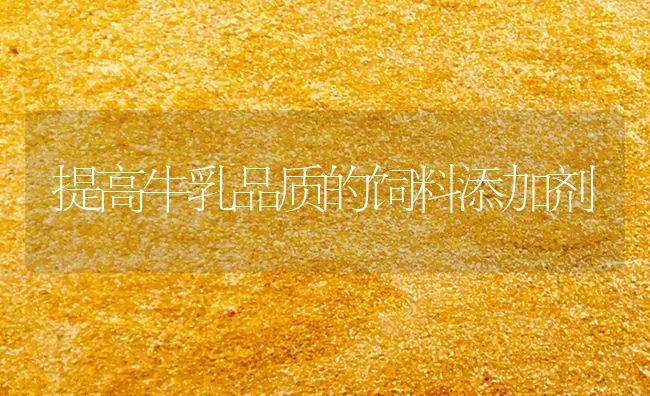 提高牛乳品质的饲料添加剂 | 动物养殖饲料