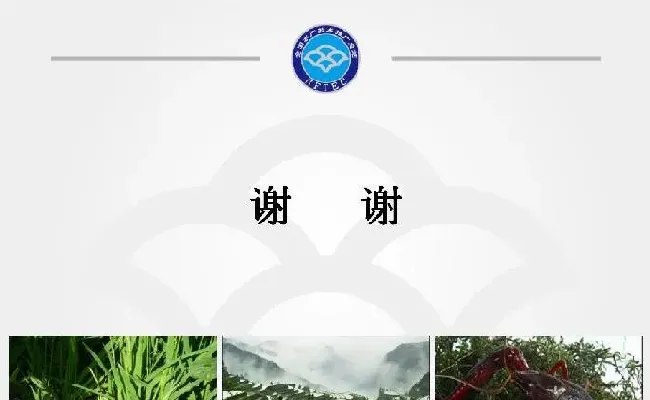 稻渔综合种养技术规范 通则