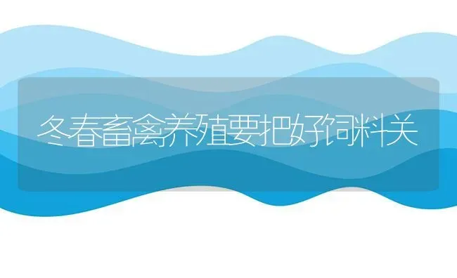 冬春畜禽养殖要把好饲料关 | 动物养殖饲料