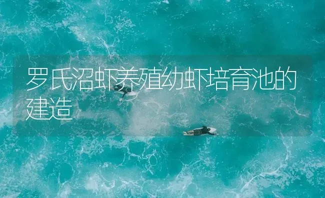 罗氏沼虾养殖幼虾培育池的建造 | 海水养殖