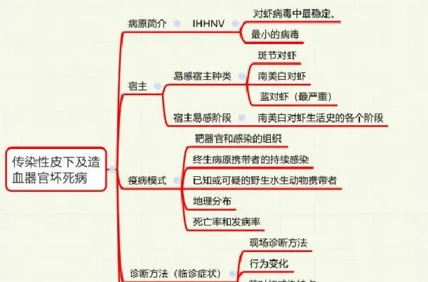 鱼病知识——传染性皮下及造血器官坏死