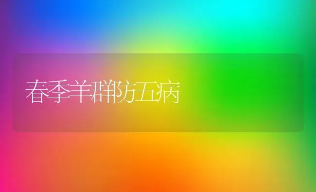 春季羊群防五病 | 家畜养殖