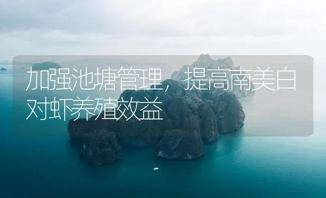 加强池塘管理，提高南美白对虾养殖效益 | 海水养殖