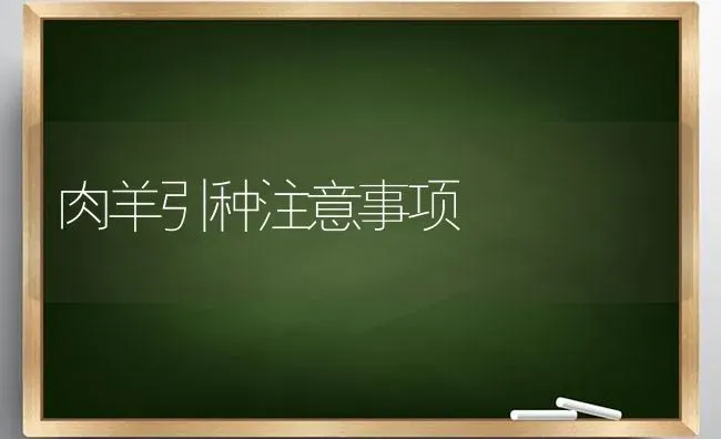 肉羊引种注意事项 | 家畜养殖