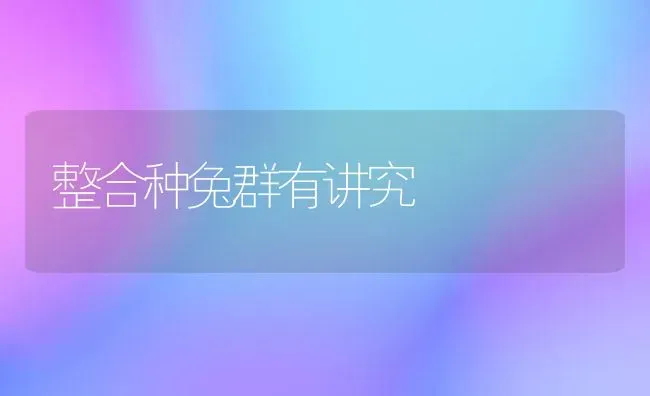 整合种兔群有讲究 | 家畜养殖