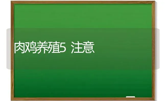 肉鸡养殖5注意 | 家禽养殖