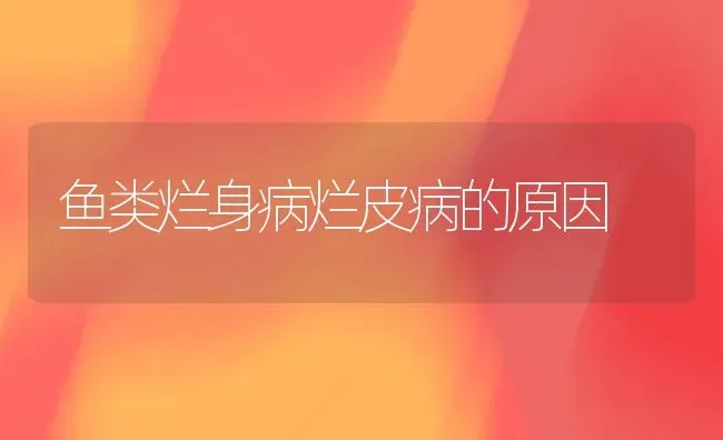 鱼类烂身病烂皮病的原因 | 淡水养殖