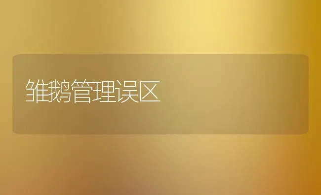 雏鹅管理误区 | 家禽养殖