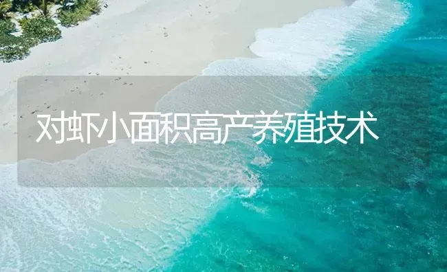 对虾小面积高产养殖技术 | 海水养殖