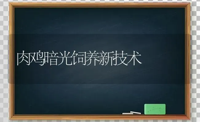 肉鸡暗光饲养新技术 | 家禽养殖