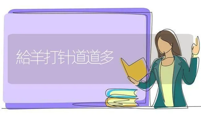 給羊打针道道多 | 家畜养殖