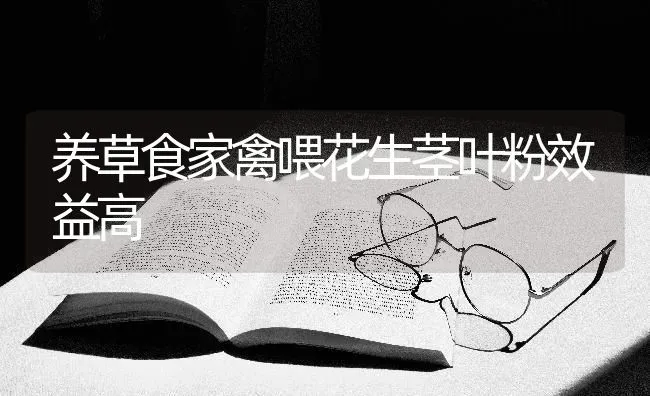 养草食家禽喂花生茎叶粉效益高 | 家禽养殖
