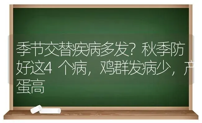 季节交替疾病多发？秋季防好这4个病，鸡群发病少，产蛋高 | 家禽养殖