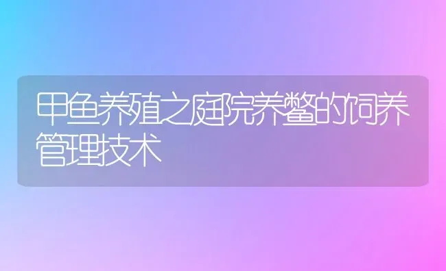 甲鱼养殖之庭院养鳖的饲养管理技术 | 淡水养殖