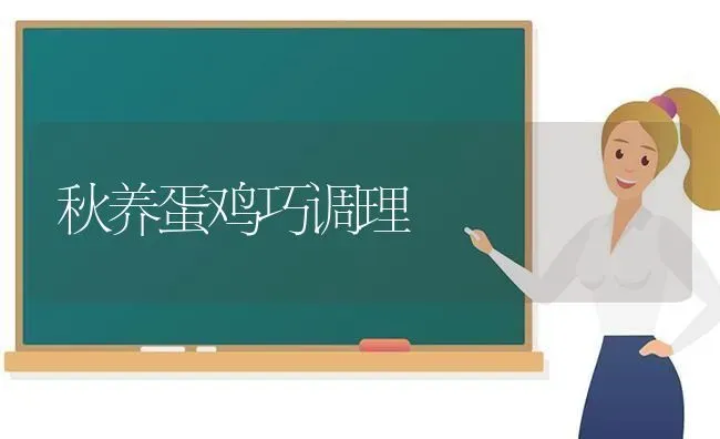 秋养蛋鸡巧调理 | 家禽养殖