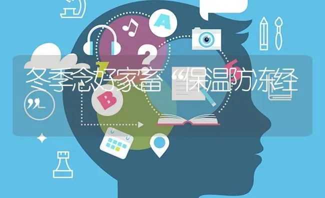 冬季念好家畜“保温防冻经” | 家畜养殖
