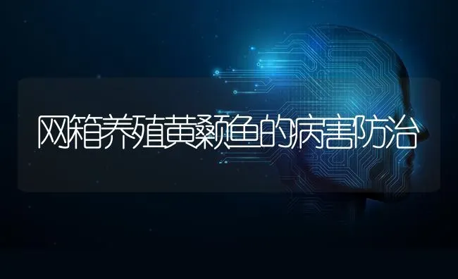 网箱养殖黄颡鱼的病害防治 | 淡水养殖