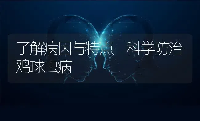 了解病因与特点 科学防治鸡球虫病 | 家禽养殖