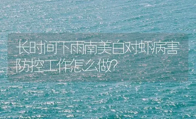 长时间下雨南美白对虾病害防控工作怎么做？ | 海水养殖