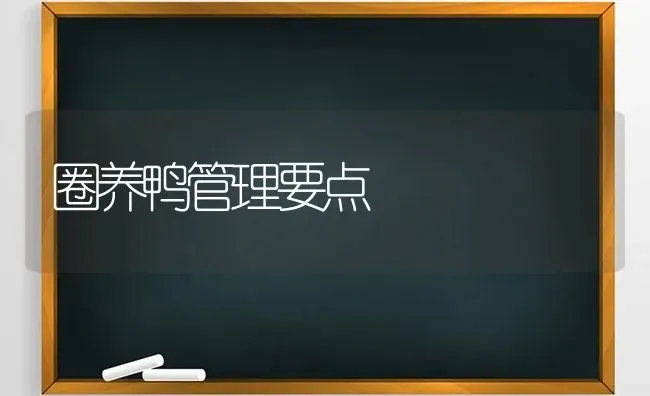 圈养鸭管理要点 | 家禽养殖