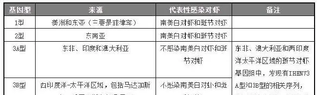 鱼病知识——传染性皮下及造血器官坏死