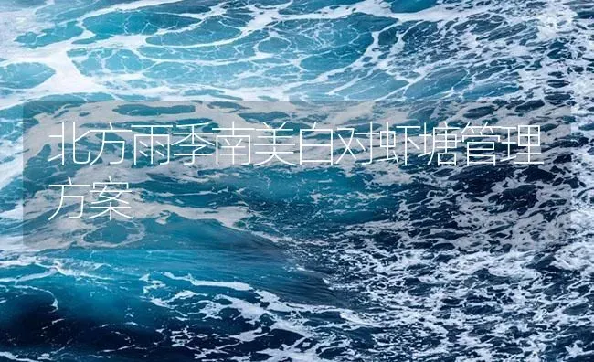 北方雨季南美白对虾塘管理方案 | 海水养殖