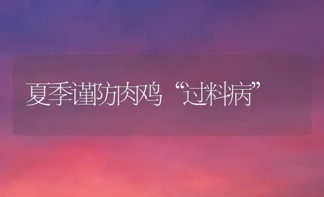 夏季谨防肉鸡“过料病” | 家禽养殖