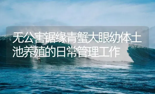 无公害锯缘青蟹大眼幼体土池养殖的日常管理工作 | 海水养殖