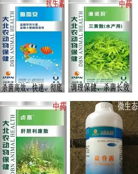 【大北农出品】南美白对虾白便综合症病因及防治方案