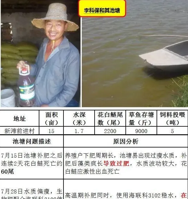 海联科3102：高温期水质稳定的法宝