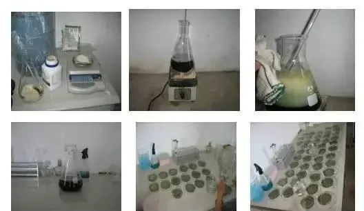水产养殖水体弧菌实用检测方法