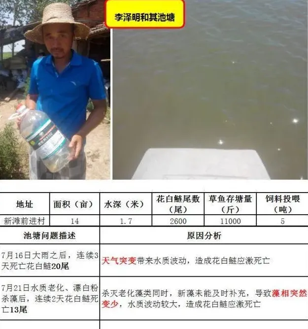 海联科3102：高温期水质稳定的法宝