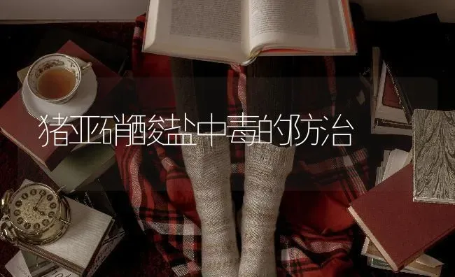 猪亚硝酸盐中毒的防治 | 家畜养殖