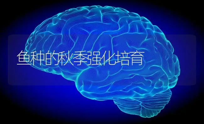 鱼种的秋季强化培育 | 淡水养殖