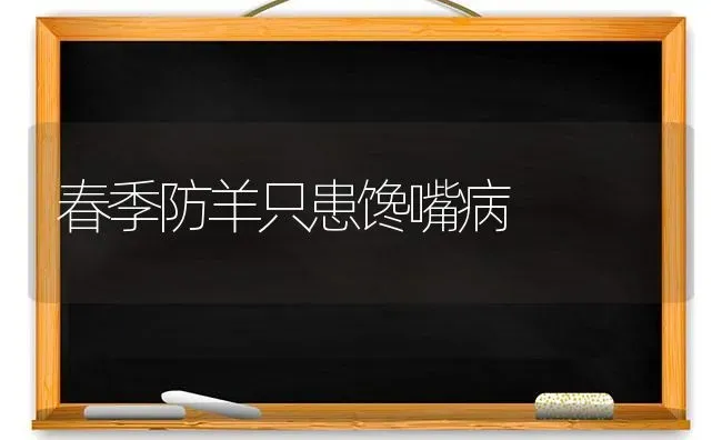 春季防羊只患馋嘴病 | 家畜养殖