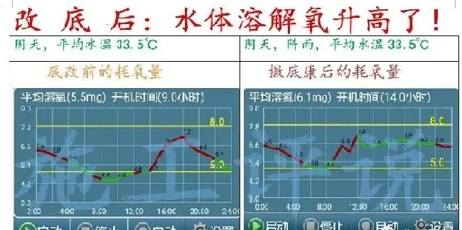 秋季南美白对虾池塘特点和水质维护关键