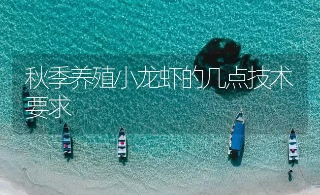 秋季养殖小龙虾的几点技术要求 | 海水养殖