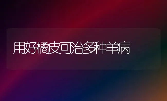 用好橘皮可治多种羊病 | 家畜养殖