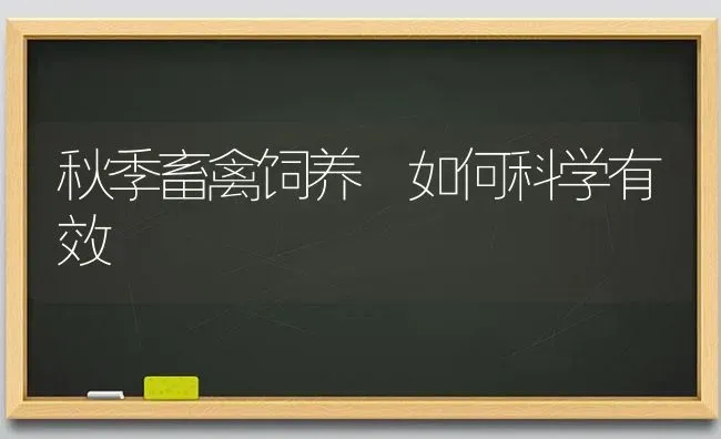 秋季畜禽饲养 如何科学有效 | 家禽养殖