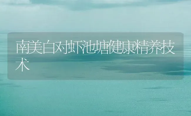 南美白对虾池塘健康精养技术 | 海水养殖