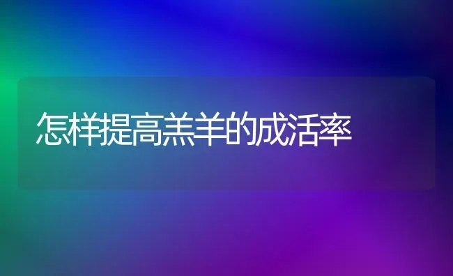 怎样提高羔羊的成活率 | 家畜养殖