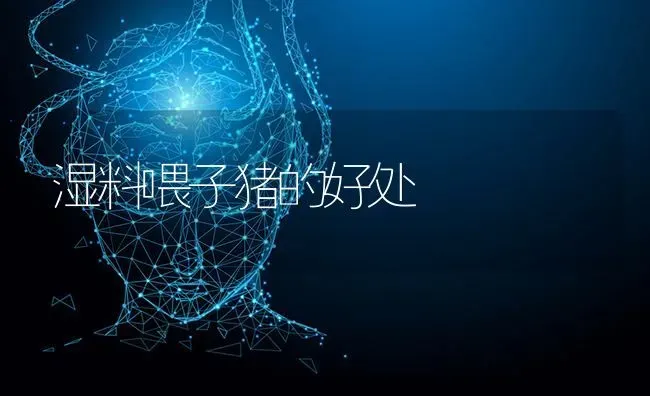 湿料喂子猪的好处 | 家畜养殖