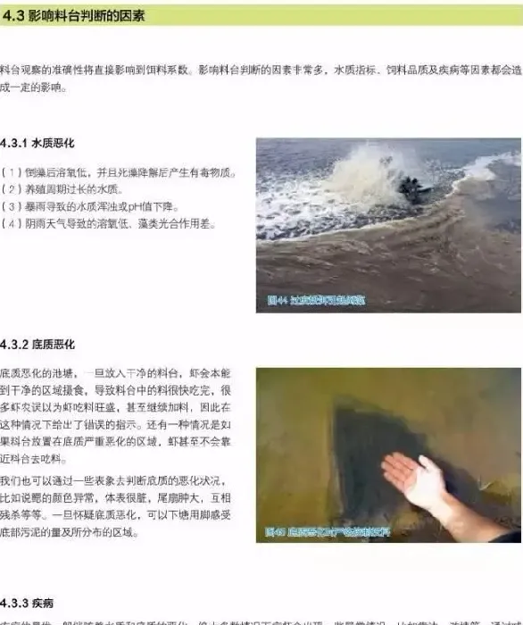 南美白对虾养殖户如何做好饵料管理工作