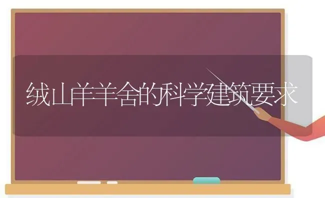 绒山羊羊舍的科学建筑要求 | 家畜养殖