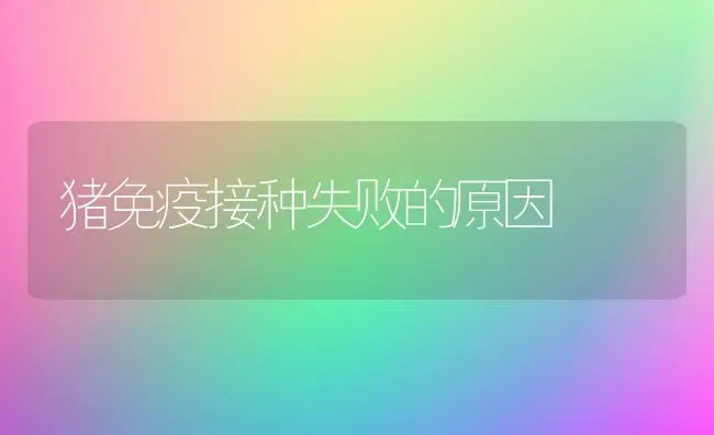 猪免疫接种失败的原因 | 家畜养殖