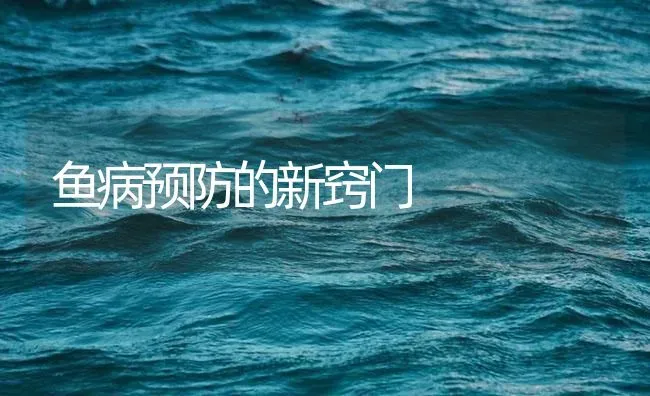 鱼病预防的新窍门 | 养殖病虫害防治