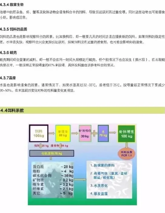 南美白对虾养殖户如何做好饵料管理工作